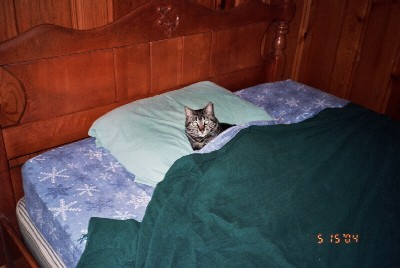 Dubhghall in the upstairs bed.  Notice the "naughty" pine (knotty) and the anchor on the bed.