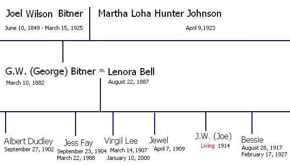 picture I drew of a sample section of the family tree of G.W. (George) Bitner